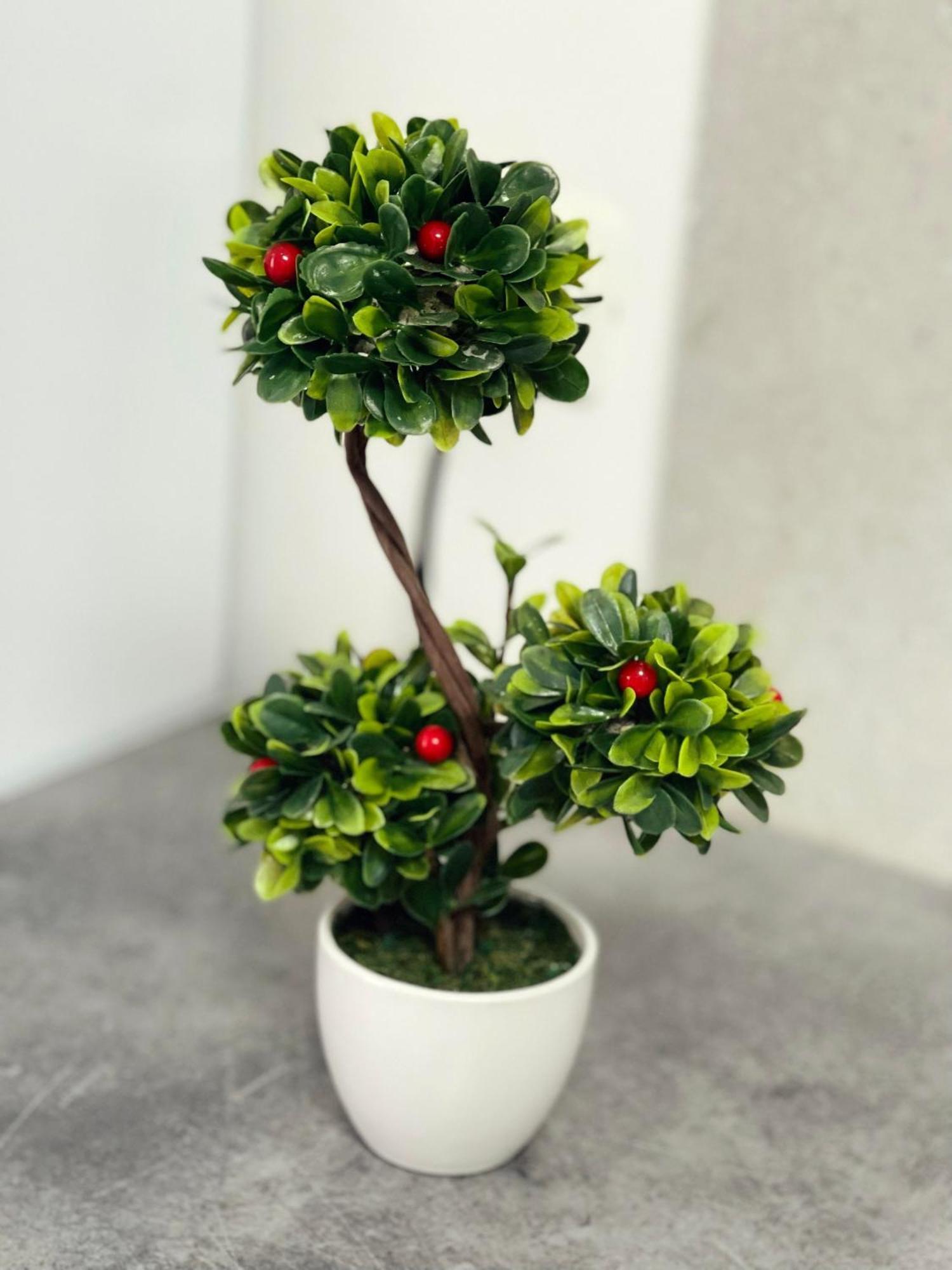 Apartament Premium Isabella 阿拉德 外观 照片